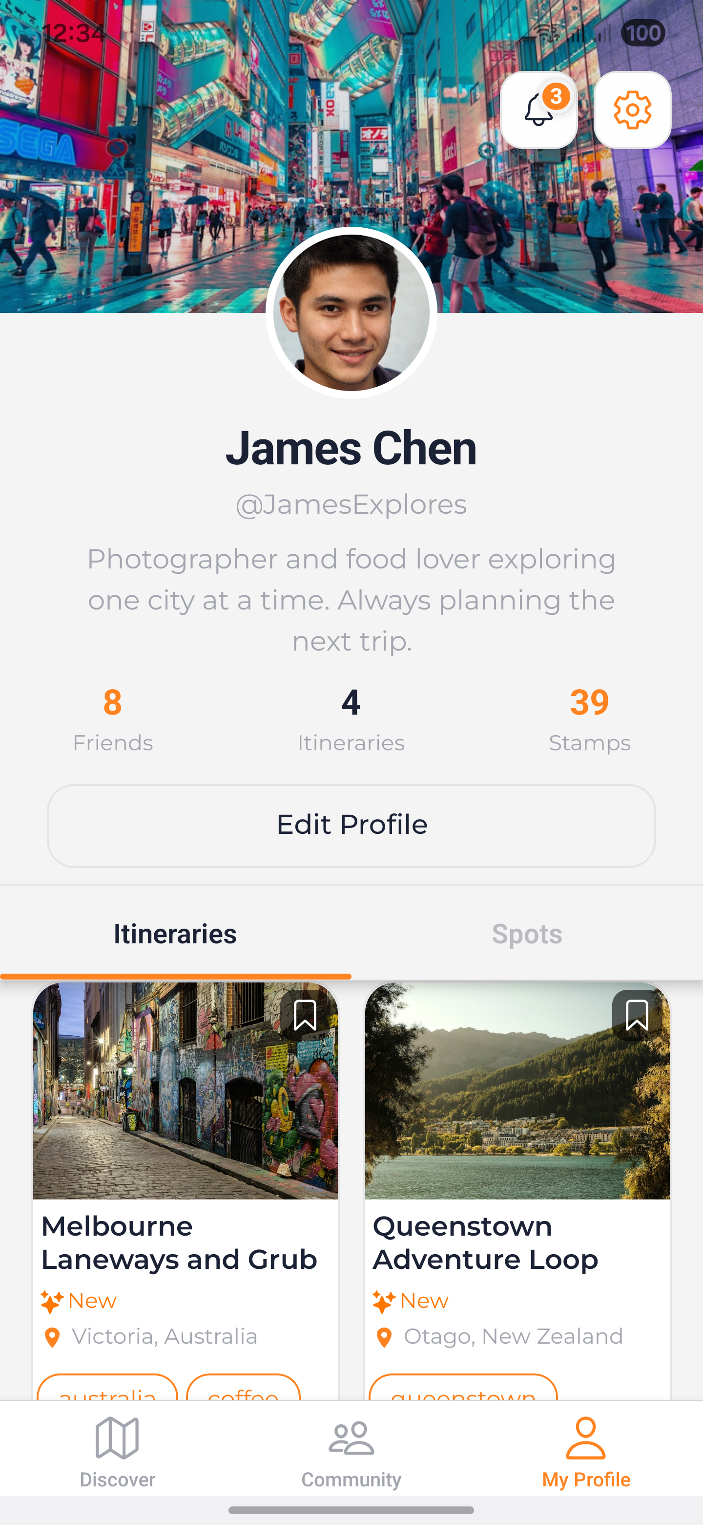 Travel profile with itineraries and stamps